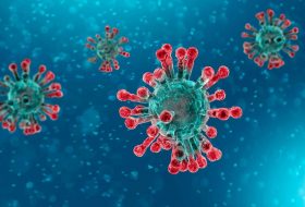 Nuevo Coronavirus: Desafío en las políticas de Salud